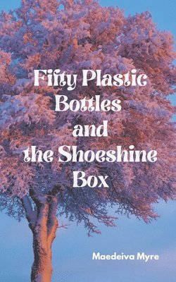 Fifty Plastic Bottles and the Shoeshine Box 1