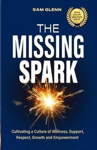 bokomslag The Missing Spark