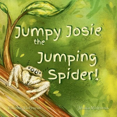 Jumpy Josie the Jumping Spider 1