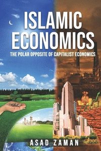 bokomslag Islamic Economics
