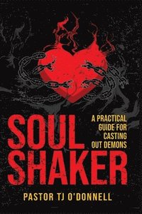 bokomslag Soul Shaker