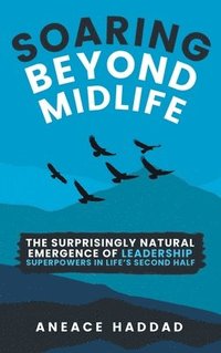 bokomslag Soaring Beyond Midlife