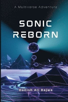 bokomslag Sonic Reborn