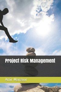 bokomslag Project Risk Management