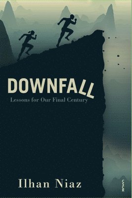 bokomslag Downfall