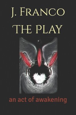 bokomslag Play