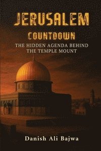 bokomslag Jerusalem Countdown