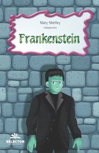 bokomslag Frankenstein