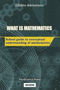 bokomslag What is Mathematics
