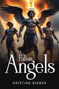 bokomslag Fallen Angels