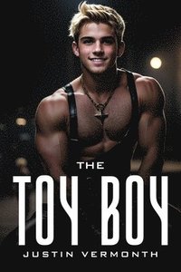 bokomslag The toy boy