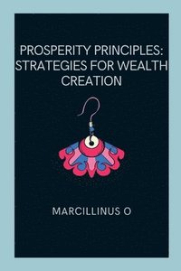 bokomslag Prosperity Principles
