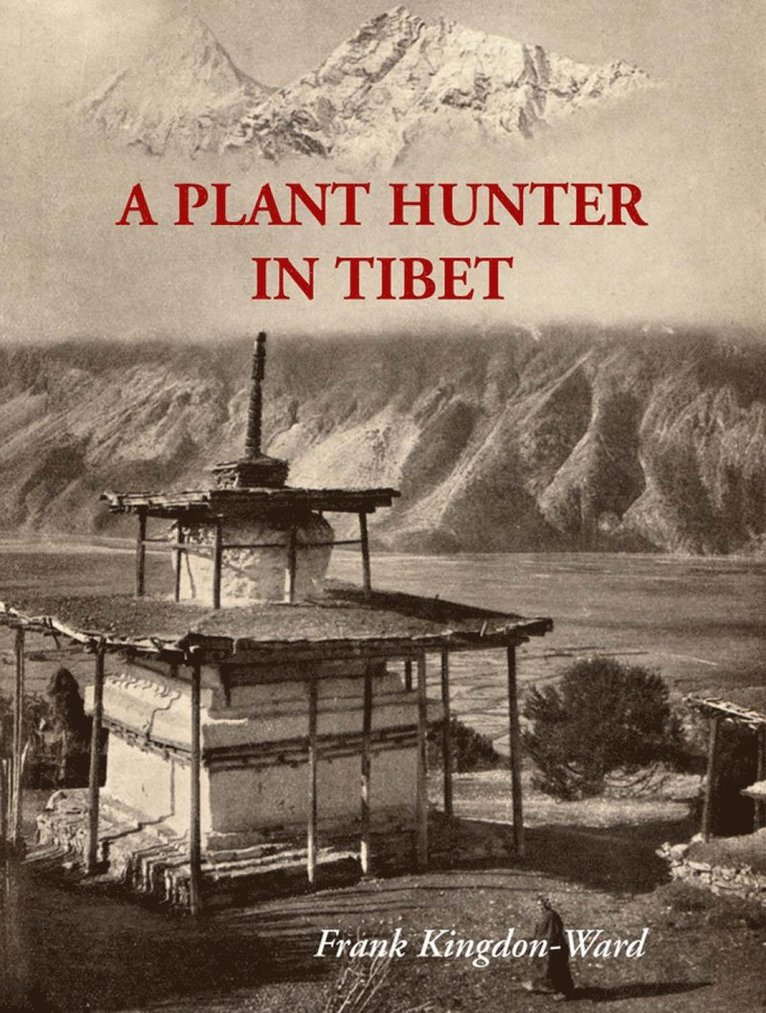 Frank Kingdon-Ward - Plant Hunter In Tibet, Häftad
