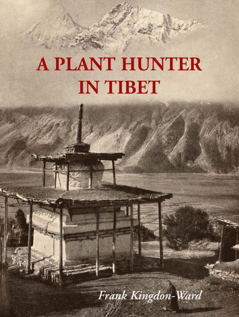 A Plant Hunter In Tibet 1