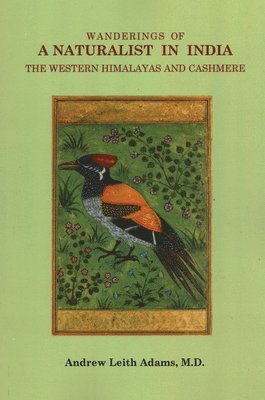 Wanderings of a Naturalist in India, the Western Himalayas and Cashmere