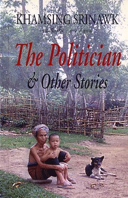 bokomslag Politician and Other Stories