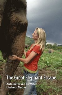 bokomslag The Great Elephant Escape