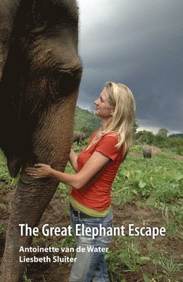 The Great Elephant Escape 1