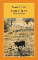 bokomslag Binbogalar Efsanesi