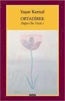 bokomslag Ortadirek