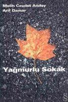 Yagmurlu Sokak 1