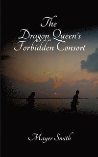 bokomslag Dragon Queen's Forbidden Consort
