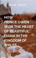 bokomslag How Prince Owen Won the Heart of Beautiful Diana in the Kingdom of Wales