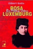 bokomslag Bir Mektup Ustasi Rosa Luxemburg