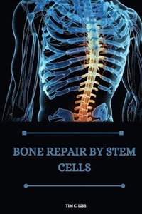 bokomslag Bone repair by stem cells