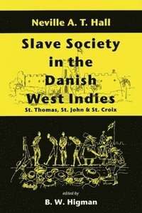 bokomslag Slave Society in the Danish West Indies