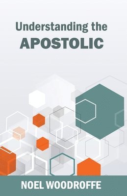 bokomslag Understanding the Apostolic