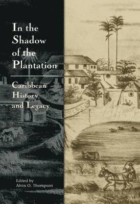 In The Shadow of the Plantation
