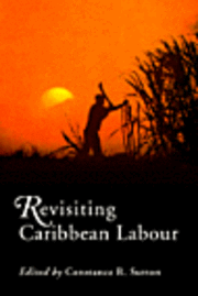 Constance Sutton - Revisiting Caribbean Labour, Häftad