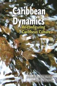 bokomslag Caribbean Dynamics