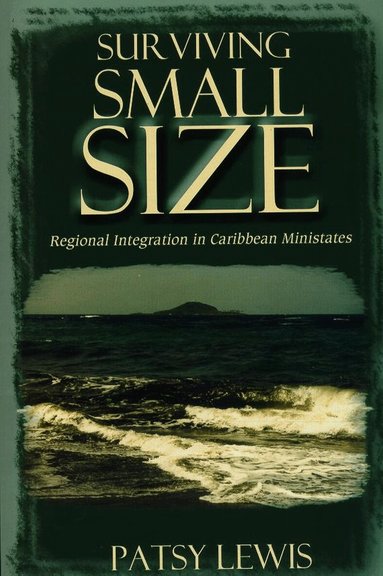 Patsy Lewis - Surviving Small Size States, Häftad