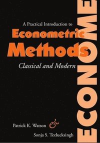 bokomslag A Practical Introduction to Econometric Methods