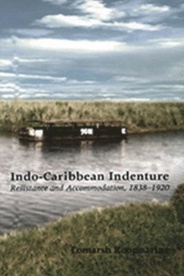 bokomslag Indo-Caribbean Indenture