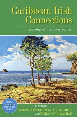 Evelyn O’Callaghan, Alison Donnell, Maria McGarrity, Evelyn O'Callaghan - Caribbean Irish Connections, Häftad