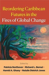bokomslag Reordering Caribbean Futures in the Fires of Global Change
