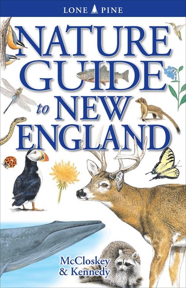 Erin McCloskey - Nature Guide to New England, Häftad