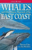 Whales and Other Marine Mammals of the East Coast