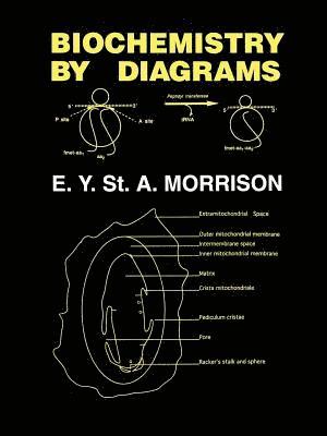 bokomslag Biochemistry by Diagrams