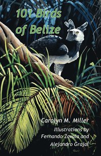 bokomslag 101 Birds of Belize