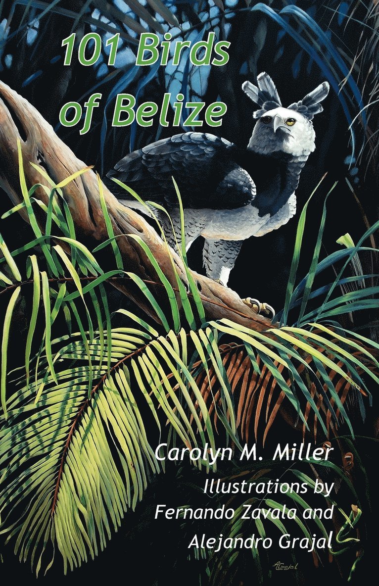 101 Birds of Belize 1