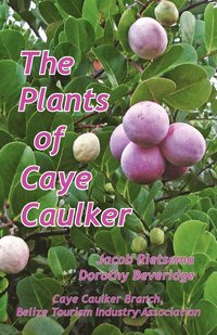 bokomslag The Plants of Caye Caulker