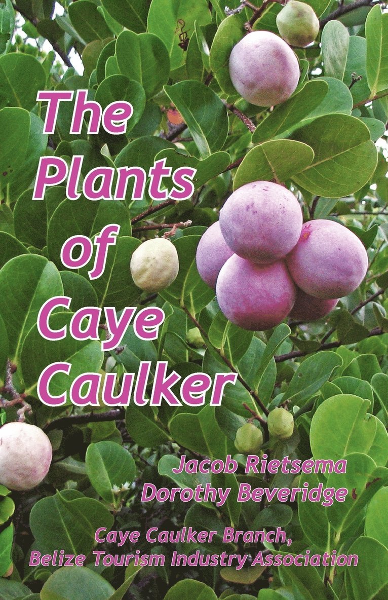 The Plants of Caye Caulker 1