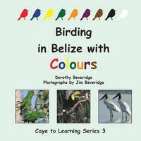 bokomslag Birding in Belize with Colours