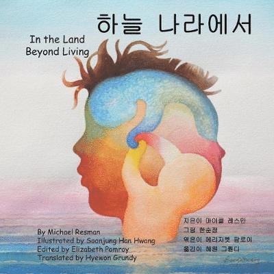 Michael Resman - In the Land Beyond Living, Häftad