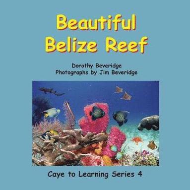 bokomslag Beautiful Belize Reef