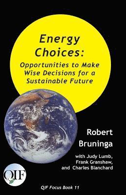 bokomslag Energy Choices